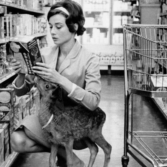 I have a love for rescuing animals and being a mom - Picture 6 of 9